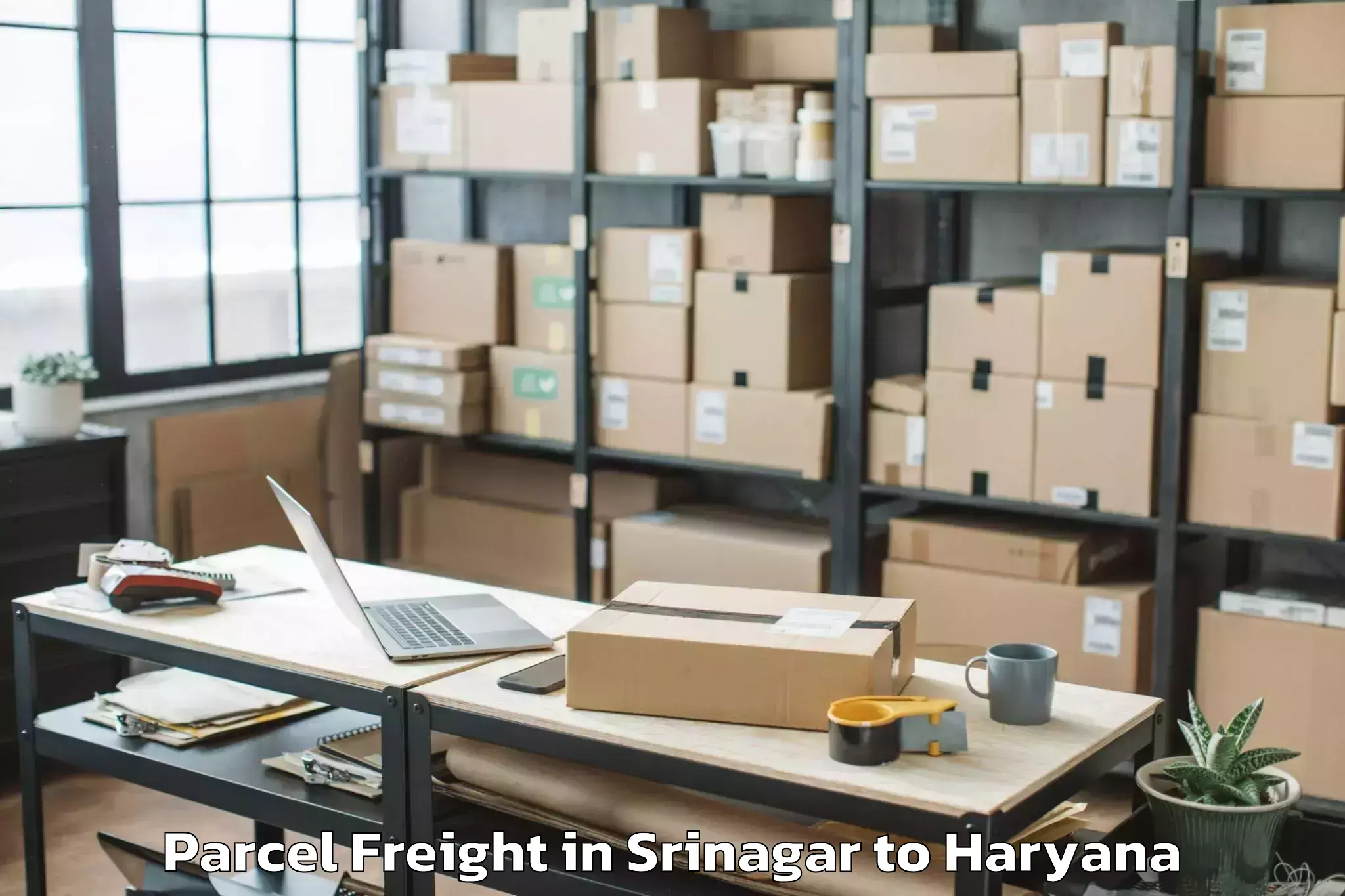 Top Srinagar to Nuh Parcel Freight Available